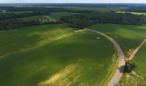 Photo of UNDER CONTRACT!  128.25 Acres of Farm and Timber Land For Sale In Wilson County NC!