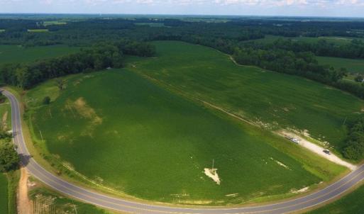Photo of UNDER CONTRACT!  128.25 Acres of Farm and Timber Land For Sale In Wilson County NC!