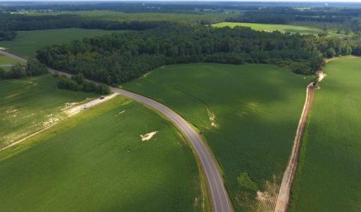 Photo of UNDER CONTRACT!  128.25 Acres of Farm and Timber Land For Sale In Wilson County NC!