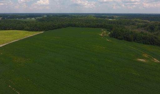 Photo of UNDER CONTRACT!  347.8 Acres of Farm and Timber Land For Sale in Wilson County NC!