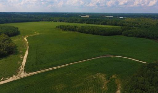 Photo of UNDER CONTRACT!  347.8 Acres of Farm and Timber Land For Sale in Wilson County NC!