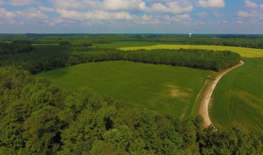 Photo of UNDER CONTRACT!  347.8 Acres of Farm and Timber Land For Sale in Wilson County NC!