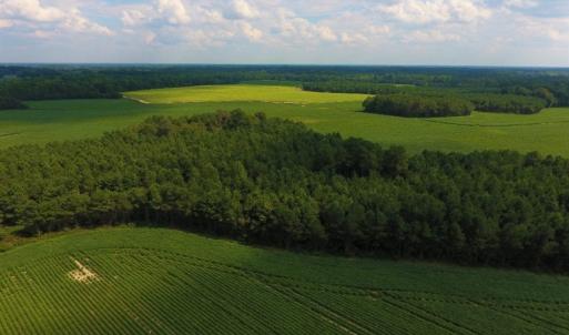 Photo of UNDER CONTRACT!  347.8 Acres of Farm and Timber Land For Sale in Wilson County NC!