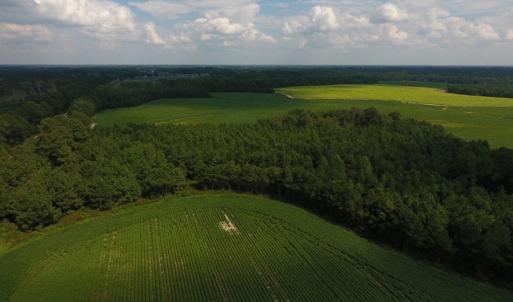 Photo of UNDER CONTRACT!  347.8 Acres of Farm and Timber Land For Sale in Wilson County NC!