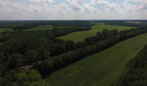 Photo of UNDER CONTRACT!  347.8 Acres of Farm and Timber Land For Sale in Wilson County NC!