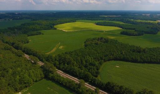 Photo of UNDER CONTRACT!  347.8 Acres of Farm and Timber Land For Sale in Wilson County NC!