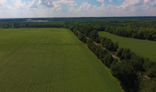 Photo of UNDER CONTRACT!  347.8 Acres of Farm and Timber Land For Sale in Wilson County NC!