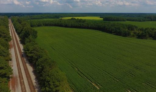 Photo of UNDER CONTRACT!  347.8 Acres of Farm and Timber Land For Sale in Wilson County NC!