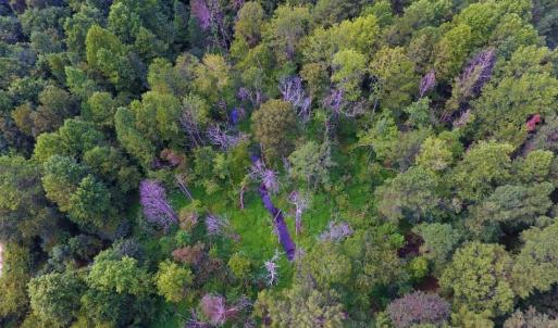 Photo of UNDER CONTRACT!  347.8 Acres of Farm and Timber Land For Sale in Wilson County NC!
