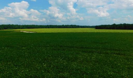 Photo of UNDER CONTRACT!  347.8 Acres of Farm and Timber Land For Sale in Wilson County NC!