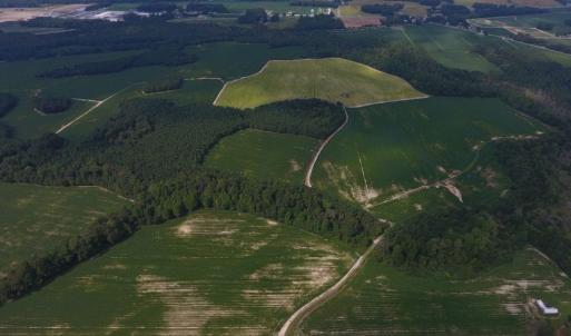 Photo of UNDER CONTRACT!  347.8 Acres of Farm and Timber Land For Sale in Wilson County NC!