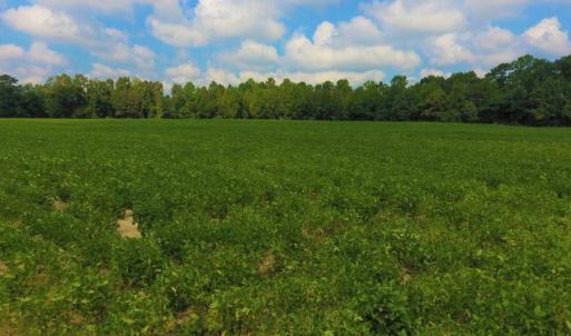 Photo of UNDER CONTRACT!  347.8 Acres of Farm and Timber Land For Sale in Wilson County NC!