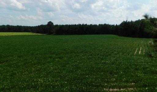 Photo of UNDER CONTRACT!  347.8 Acres of Farm and Timber Land For Sale in Wilson County NC!