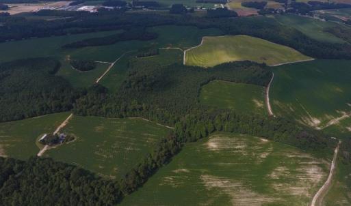 Photo of UNDER CONTRACT!  347.8 Acres of Farm and Timber Land For Sale in Wilson County NC!