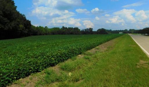 Photo of UNDER CONTRACT!  347.8 Acres of Farm and Timber Land For Sale in Wilson County NC!