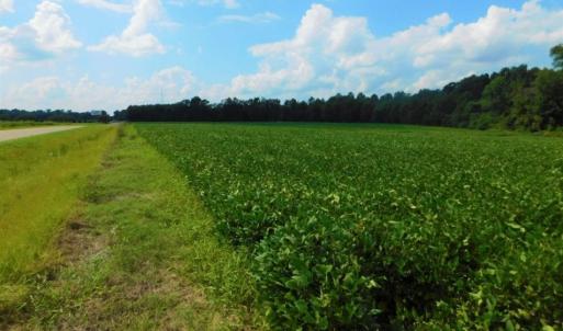 Photo of UNDER CONTRACT!  347.8 Acres of Farm and Timber Land For Sale in Wilson County NC!
