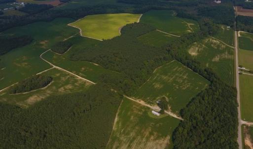 Photo of UNDER CONTRACT!  347.8 Acres of Farm and Timber Land For Sale in Wilson County NC!