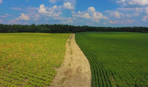 Photo of UNDER CONTRACT!  347.8 Acres of Farm and Timber Land For Sale in Wilson County NC!