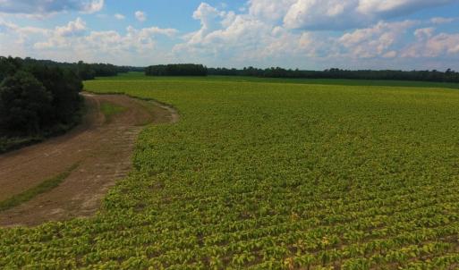 Photo of UNDER CONTRACT!  347.8 Acres of Farm and Timber Land For Sale in Wilson County NC!
