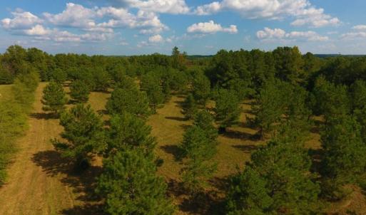 Photo of UNDER CONTRACT!  40.49 Acres of Timber and Hunting Land For Sale in Warren County NC!