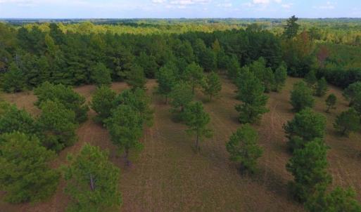 Photo of UNDER CONTRACT!  40.49 Acres of Timber and Hunting Land For Sale in Warren County NC!