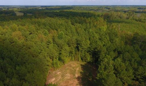 Photo of UNDER CONTRACT!  40.49 Acres of Timber and Hunting Land For Sale in Warren County NC!