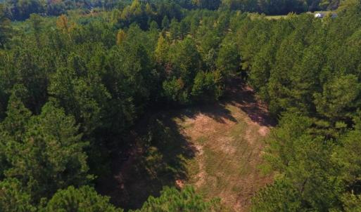 Photo of UNDER CONTRACT!  40.49 Acres of Timber and Hunting Land For Sale in Warren County NC!