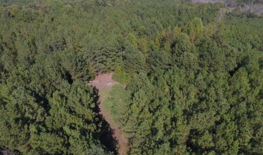 Photo of UNDER CONTRACT!  40.49 Acres of Timber and Hunting Land For Sale in Warren County NC!