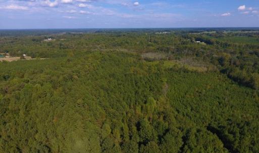 Photo of UNDER CONTRACT!  40.49 Acres of Timber and Hunting Land For Sale in Warren County NC!