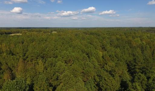 Photo of UNDER CONTRACT!  40.49 Acres of Timber and Hunting Land For Sale in Warren County NC!