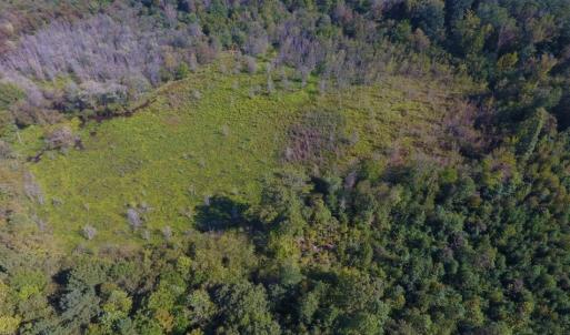 Photo of UNDER CONTRACT!  40.49 Acres of Timber and Hunting Land For Sale in Warren County NC!