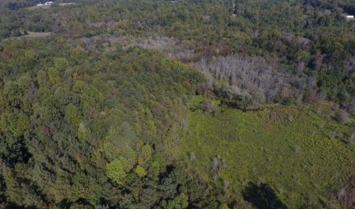 Photo of UNDER CONTRACT!  40.49 Acres of Timber and Hunting Land For Sale in Warren County NC!