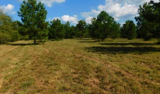 Photo of UNDER CONTRACT!  40.49 Acres of Timber and Hunting Land For Sale in Warren County NC!