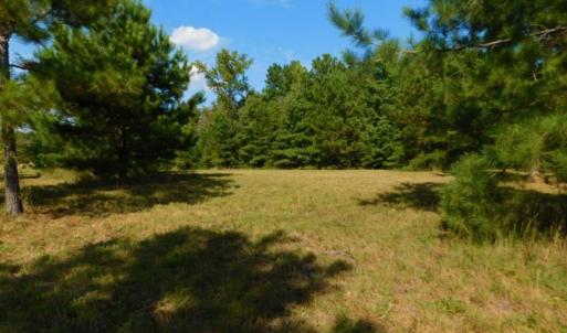 Photo of UNDER CONTRACT!  40.49 Acres of Timber and Hunting Land For Sale in Warren County NC!