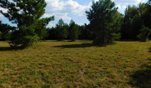 Photo of UNDER CONTRACT!  40.49 Acres of Timber and Hunting Land For Sale in Warren County NC!