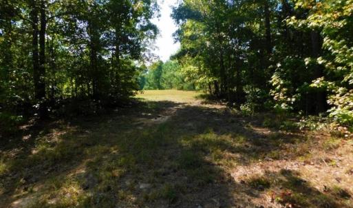 Photo of UNDER CONTRACT!  40.49 Acres of Timber and Hunting Land For Sale in Warren County NC!