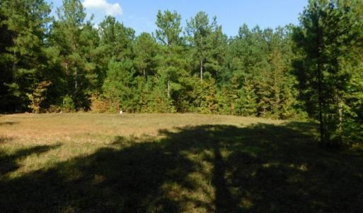 Photo of UNDER CONTRACT!  40.49 Acres of Timber and Hunting Land For Sale in Warren County NC!