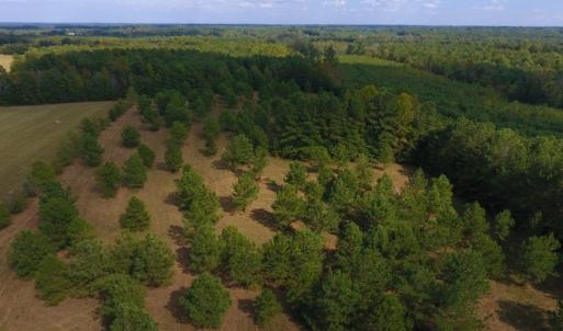 Photo of UNDER CONTRACT!  40.49 Acres of Timber and Hunting Land For Sale in Warren County NC!