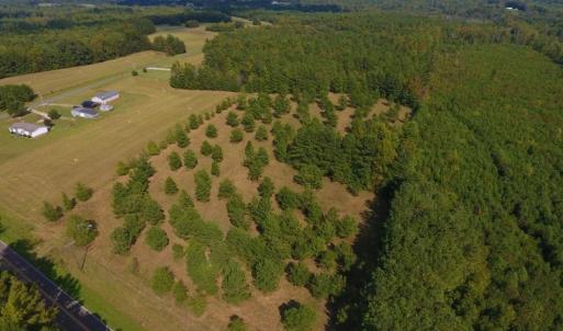 Photo of UNDER CONTRACT!  40.49 Acres of Timber and Hunting Land For Sale in Warren County NC!