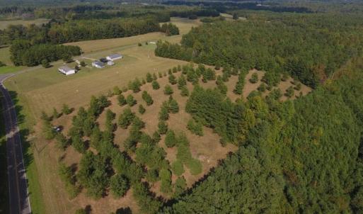 Photo of UNDER CONTRACT!  40.49 Acres of Timber and Hunting Land For Sale in Warren County NC!