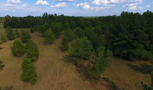 Photo of UNDER CONTRACT!  40.49 Acres of Timber and Hunting Land For Sale in Warren County NC!