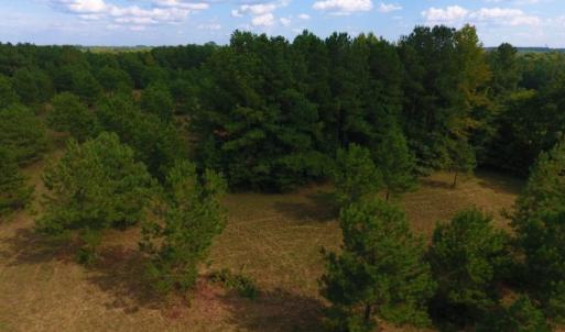 Photo of UNDER CONTRACT!  40.49 Acres of Timber and Hunting Land For Sale in Warren County NC!