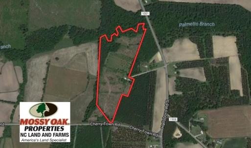Photo of UNDER CONTRACT!  24.79 Acres of Hunting Land with Residential Site for Sale in Columbus County NC!