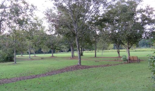 Photo of UNDER CONTRACT!  24.79 Acres of Hunting Land with Residential Site for Sale in Columbus County NC!