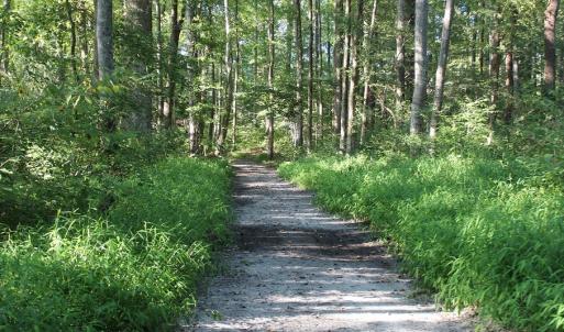 Photo of UNER CONTRACT!  5 Acres of Residential Hunting Land For Sale in Southampton County VA!