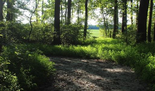 Photo of UNER CONTRACT!  5 Acres of Residential Hunting Land For Sale in Southampton County VA!