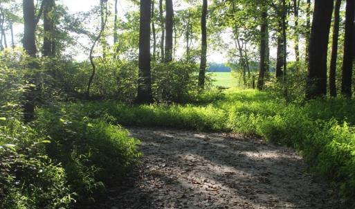 Photo of UNER CONTRACT!  5 Acres of Residential Hunting Land For Sale in Southampton County VA!