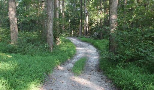Photo of UNER CONTRACT!  5 Acres of Residential Hunting Land For Sale in Southampton County VA!