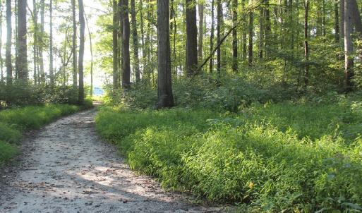 Photo of UNER CONTRACT!  5 Acres of Residential Hunting Land For Sale in Southampton County VA!
