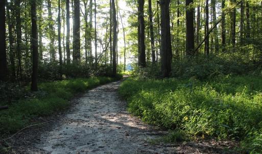 Photo of UNER CONTRACT!  5 Acres of Residential Hunting Land For Sale in Southampton County VA!
